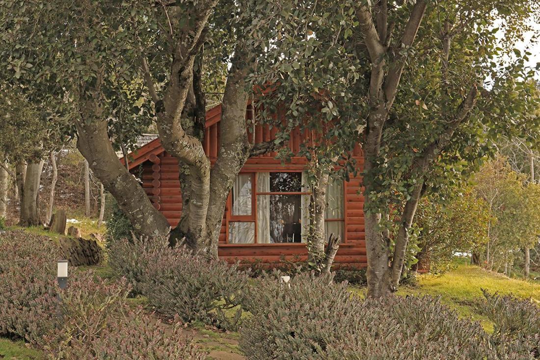 Monasterio Hotel Boutique San Carlos de Bariloche Dış mekan fotoğraf
